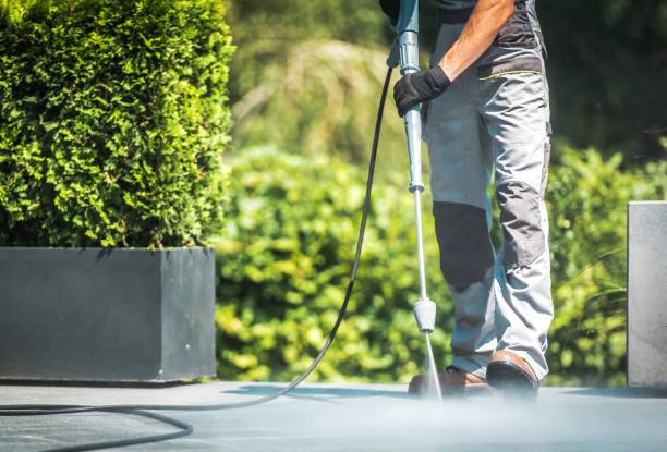 Best Sidewalk and Walkway Cleaning  in Pagosa Springs, CO