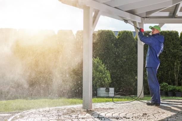 Best Animal Enclosure Cleaning  in Pagosa Springs, CO