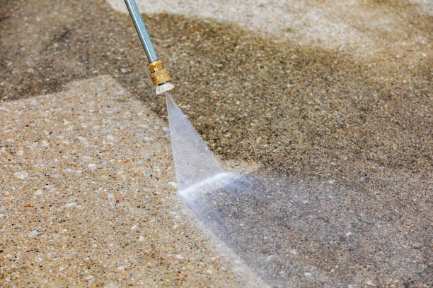 Animal Enclosure Cleaning in Pagosa Springs, CO